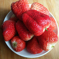 �߳Ա���Ѽ��