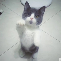 �����¼�� ȫ��ͼ