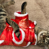 ���ȳ���´���+�������ĵ�һ�δ���