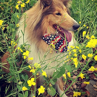 ���ȳ���´������긣���������ļ�ƽ������+�����С��㡻