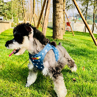 ���ϲ�ԭ��СҰ�� ֮���빫԰д��