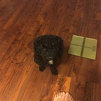 ��࣬������������ˣ��Һ�����ѽ