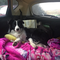 ���Ϲ���ȥ���У�2��