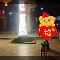 ���ȳ���´���ÿ��������ֵ�ñ��ƴ�