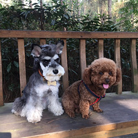 ���ȳ���´��������븣����´��ռ�