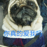 ���ȳ���´���+���� go go go��ӵ�����������