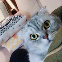 �����ˣ�����¶����