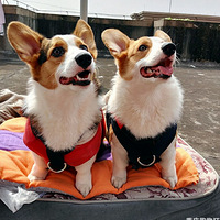 С���ȵĹ����Ҹ�����