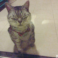 ���ڻ�����ΪҪ��ʧȥ�����ҵ�����