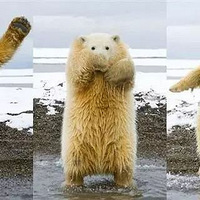 ���綯��û�в��ӣ�������������ô������ô��