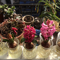 ����ܺ� ����Щ������εķ�����