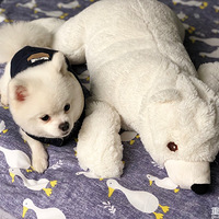 ���г������Ů������