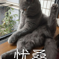 �����ҵı����