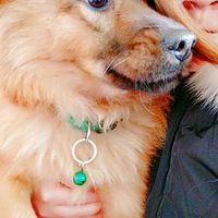 ������԰Ȯ����Ҳ������һ��