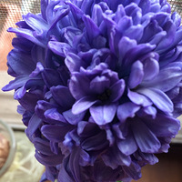 �����ӿ�����ʱ����Ӷ��� զ�죿