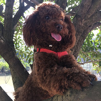 ����˵��վ�ø߲��ܿ���Զ