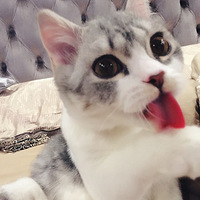 �Ҷ��ӽ�������˳��ɹɹ�Ҷ��ӵĶ��ӹ�����