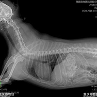 ����һ��ƽ�����Ⱦ���ֻ���˹�