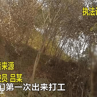 ռ��Ӧ��������Ը����������������������Ѱ��