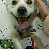 Ѱ����ʾ��λ������������·