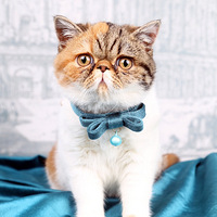 ι�����ͼ�԰�������顭��