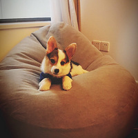 ����Ƥ�»������м������а��أ���ϲԲ�ӡ�