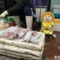 ���Խ�ϲ���һ���㷷�ҵ�һֻ���е�𣬹�������