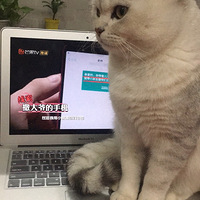 ���飬��ϱ��