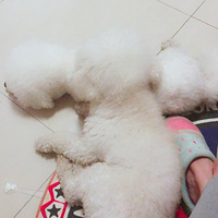 �þ�û�����Ҽ���ֻ��