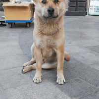 �������ռǣݼ�¼������2018��