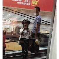15Ů޸19飬~