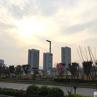 6ˣɢôˣӦðѼ