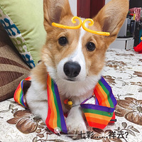 ��������Ե��������̻��