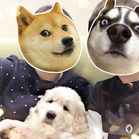 ��������Ե��Сɵ+С��+����=������