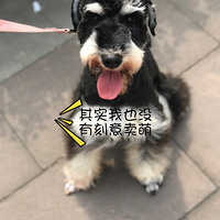 �Ӿܾ����Ȱ���ѩ������������Ҹ�����