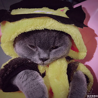 ��Ҫ�������ˣ���Ҫ�������ˣ���¼���Ҽұ����ĵ��ε�