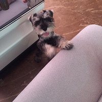 ��������Ե�����ȹ���������С��