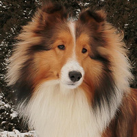 ��������Ե��ϲ�ֵ�С��Ů�����ĳɳ���