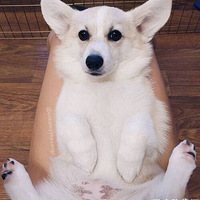 ��Ȼ���а�ɫ�Ŀ»�������ɫ��С����Ҳ̫�ɰ��˰ɣ�