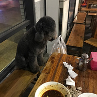 ��������Ե���ܰ��Լ������¶��������ö�