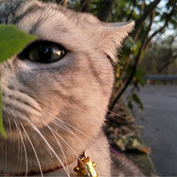 ��ɹ̫�������潡��