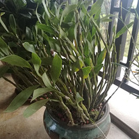 �������������������ʯ��