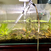 ����Ѹ׷��ˣ�������