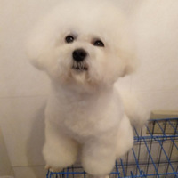 ��֮���׵Ĺ�����