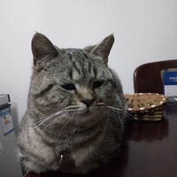 Т