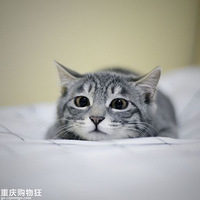 ��������Ե��û�����Ҿ�����ɹ�Ҽ�è��~~~