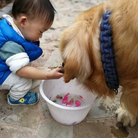 ��������Ե�������â�����ճ���