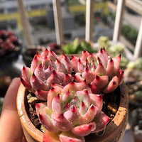 ���ⲻ������һ��