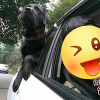 �����������ӵļҳ�������ѽ��