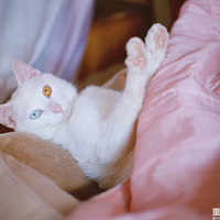 �Ҽ�����ү